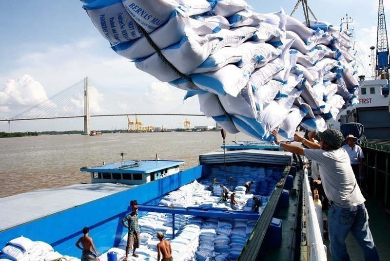 Xuất khẩu gạo cũng đã “lội ngược dòng” trong năm 2020, giá gạo của Việt Nam có thời điểm vượt qua Thái Lan.