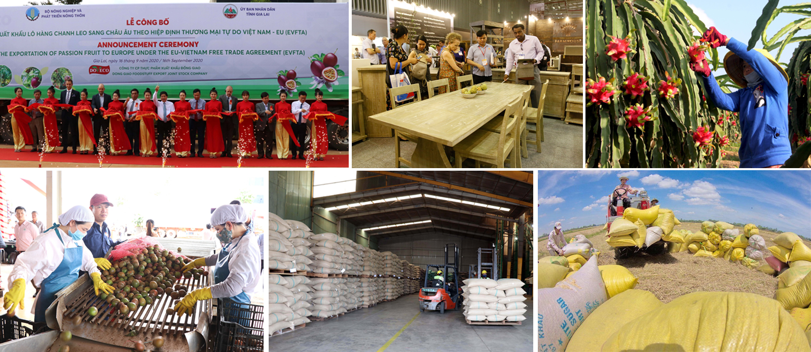 Nhiều mặt hàng của Việt Nam như gạo, cà phê, chanh leo… đã được xuất khẩu sang thị trường EU theo Hiệp định Thương mại Tự do EVFTA.