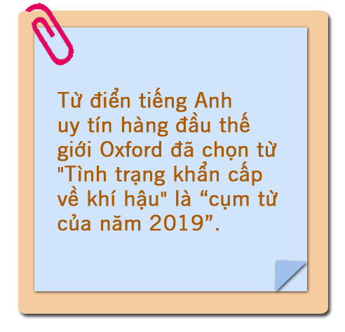Cấp bách chống biến đổi khí hậu ảnh 3