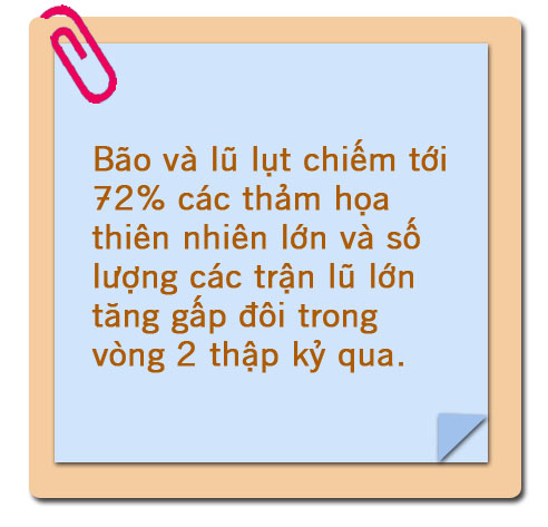 Cấp bách chống biến đổi khí hậu ảnh 8
