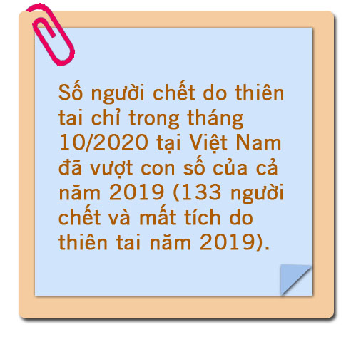 Cấp bách chống biến đổi khí hậu ảnh 13