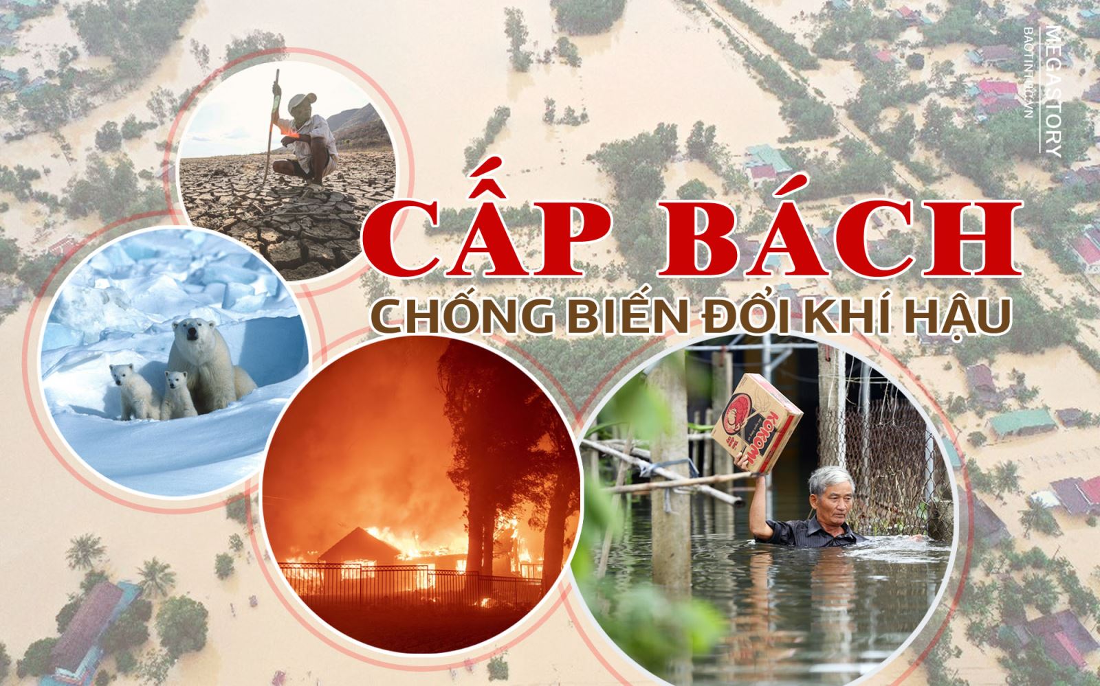 Cấp bách chống biến đổi khí hậu