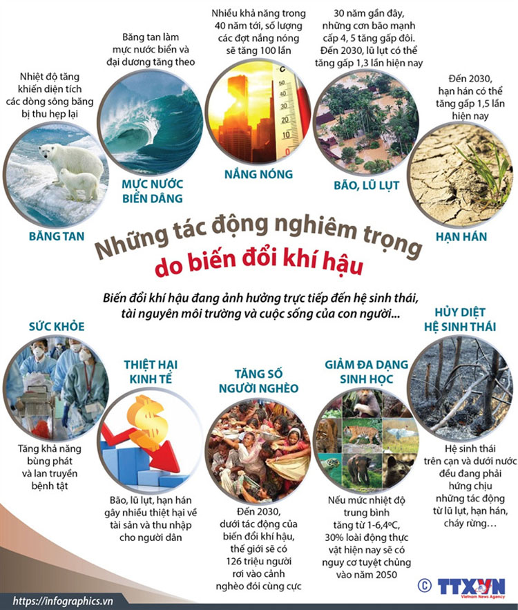 Cấp bách chống biến đổi khí hậu ảnh 18