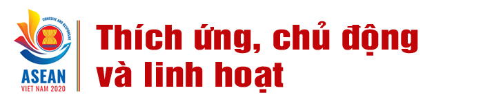 Việt Nam cùng ASEAN chủ động phòng, chống COVID-19 ảnh 6