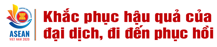 Việt Nam cùng ASEAN chủ động phòng, chống COVID-19 ảnh 14