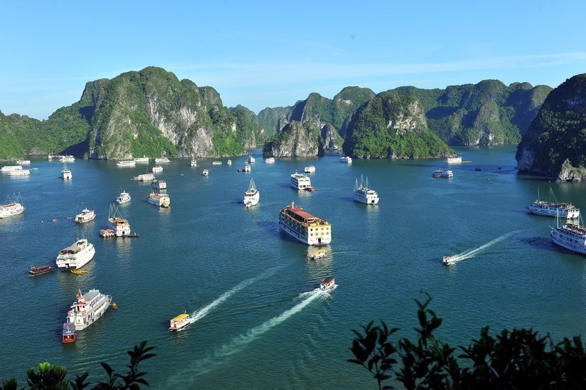 Tàu thuyền đưa khách tham quan vịnh Hạ Long.