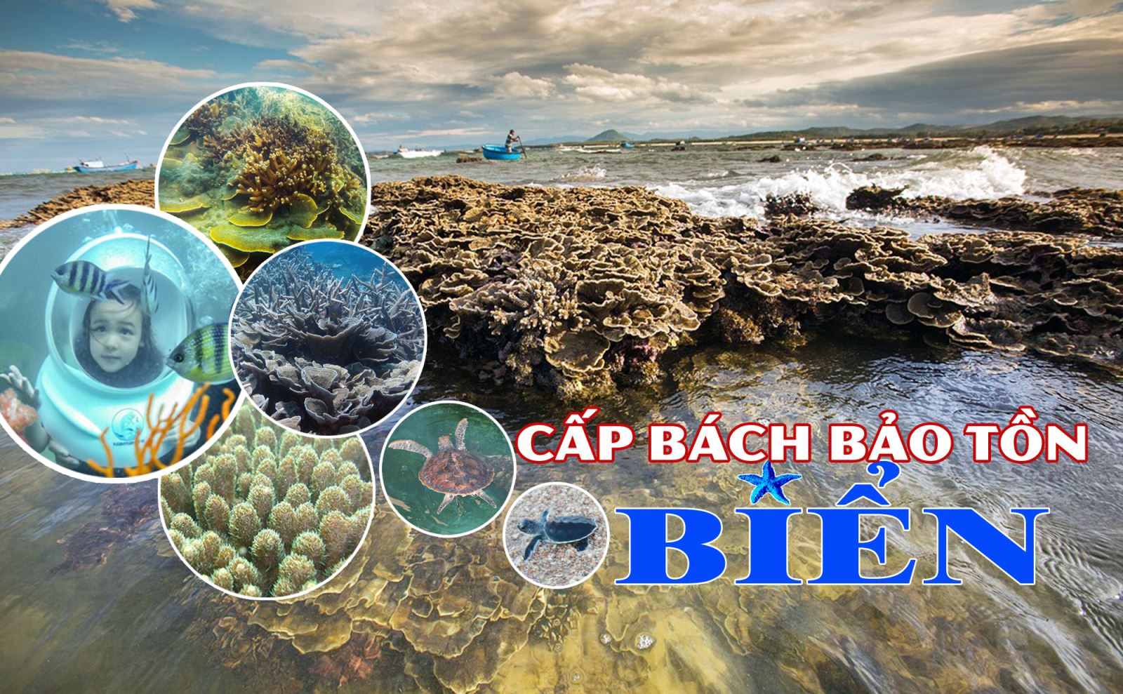 Cấp bách bảo tồn biển