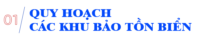 Cấp bách bảo tồn biển ảnh 1