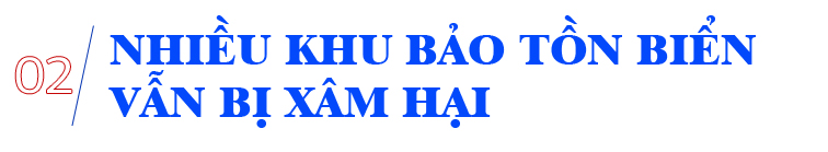 Cấp bách bảo tồn biển ảnh 6
