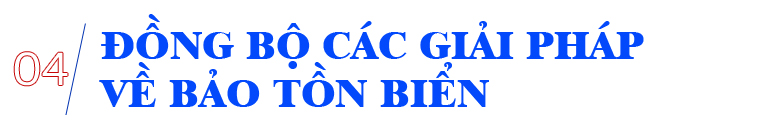 Cấp bách bảo tồn biển ảnh 17