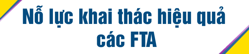 Thênh thang 'cao tốc' FTA ảnh 12