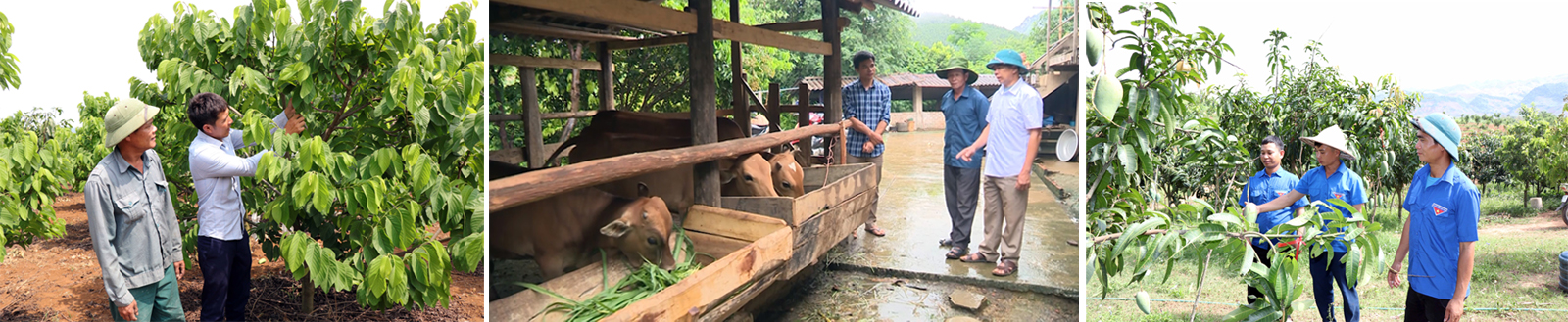 Quá trình thực hiện Chỉ thị 05 đã xuất hiện nhiều tấm gương tiêu biểu trong xây dựng đời sống, phát triển kinh tế.