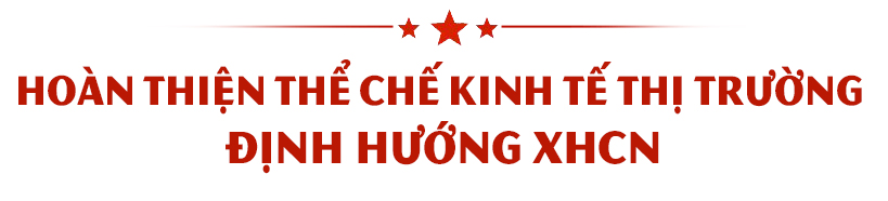 Trang mới phát triển đất nước ảnh 10