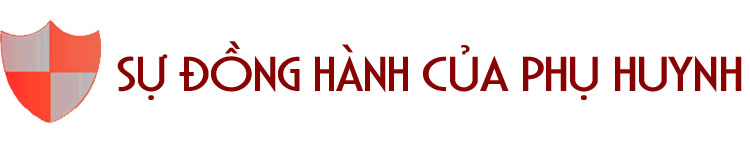 Bảo vệ trẻ em trong môi trường mạng ảnh 10