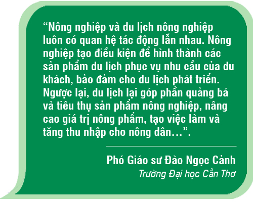 Phát triển du lịch nông nghiệp vùng đất 'Chín Rồng' ảnh 9