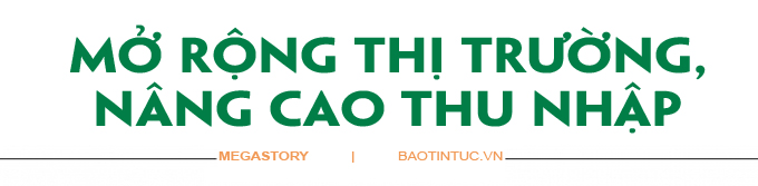Phát triển du lịch nông nghiệp vùng đất 'Chín Rồng' ảnh 6