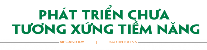 Phát triển du lịch nông nghiệp vùng đất 'Chín Rồng' ảnh 20