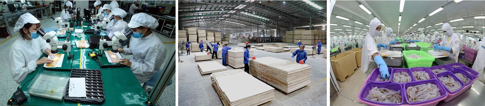 Các doanh nghiệp nỗ lực tận dụng các lợi thế để “vượt khó”, tăng tốc xuất khẩu.