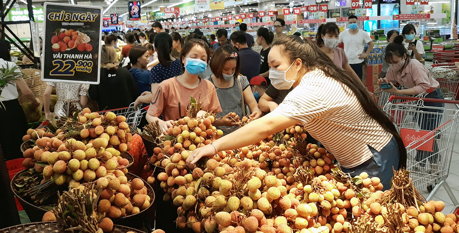 Hà Nội kết nối nông sản các vùng miền về tiêu thụ tại Thủ đô.