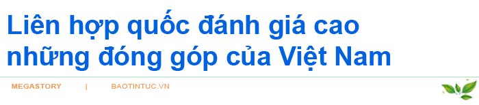 Tự hào những người lính ‘Mũ nồi xanh’ Việt Nam&nbsp; ảnh 23