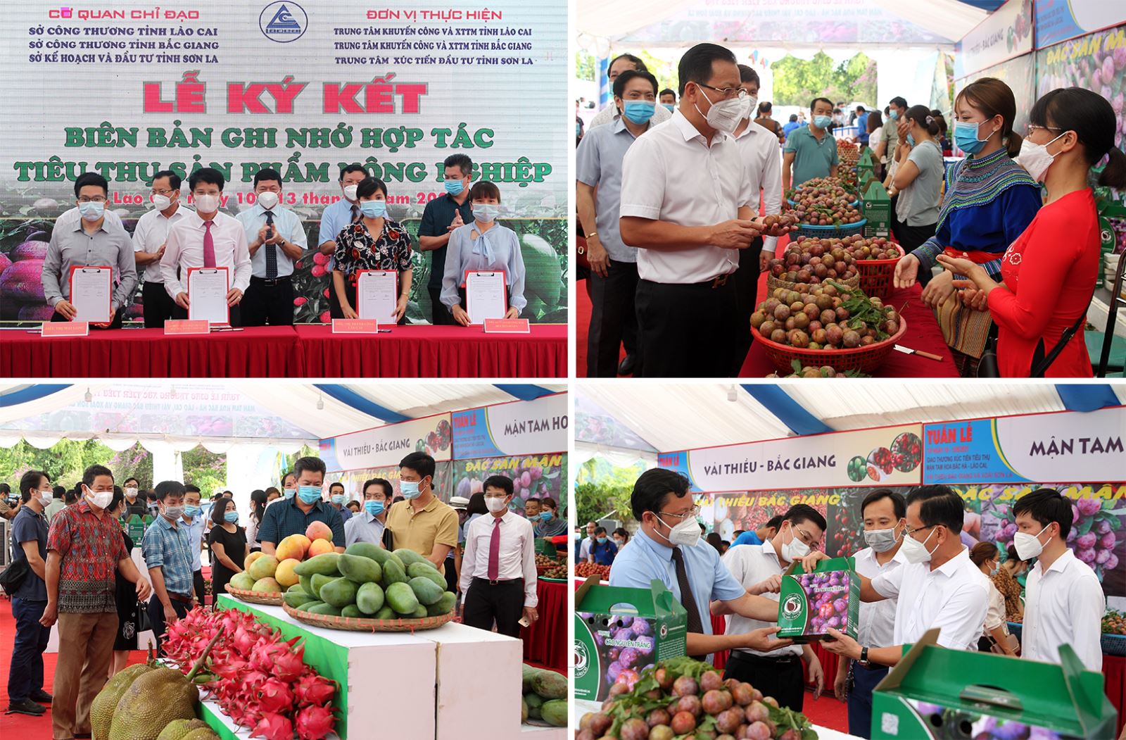 "Tuần lễ giao thương xúc tiến tiêu thụ mận Tam Hoa Bắc Hà - Lào Cai, vải thiều Bắc Giang và xoài Sơn La" tại TP Lào Cai. Đây là hoạt động nhằm hỗ trợ đẩy mạnh tiêu thụ nông sản trong điều kiện dịch bệnh COVID-19 diễn biến phức tạp.