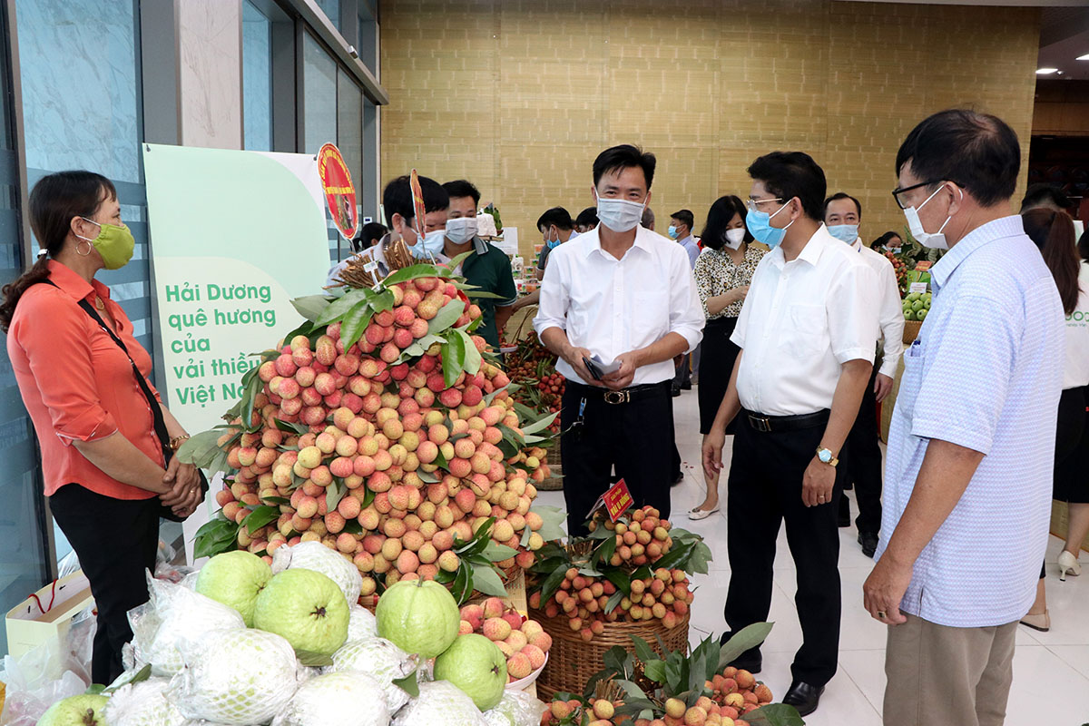 Lãnh đạo tỉnh Hải Dương giới thiệu các sản phẩm nông nghiệp tiêu biểu của tỉnh cho các vị khách, doanh nghiệp trong và ngoài nước.