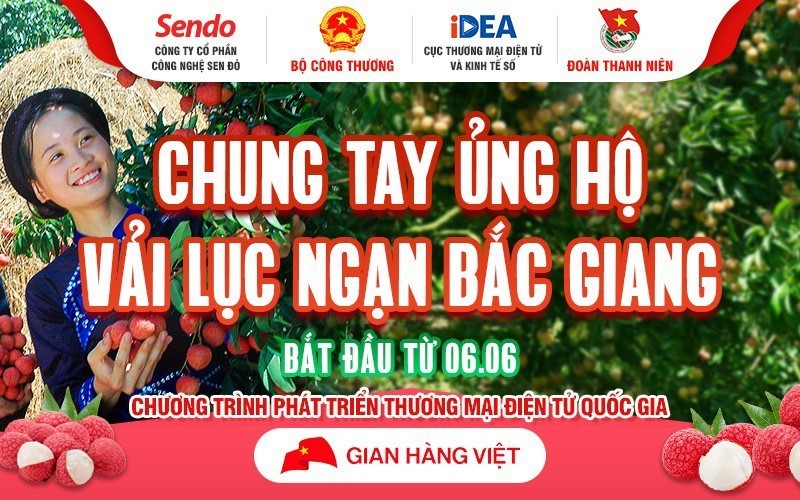 Vải thiều Bắc Giang được giới thiệu bán online.