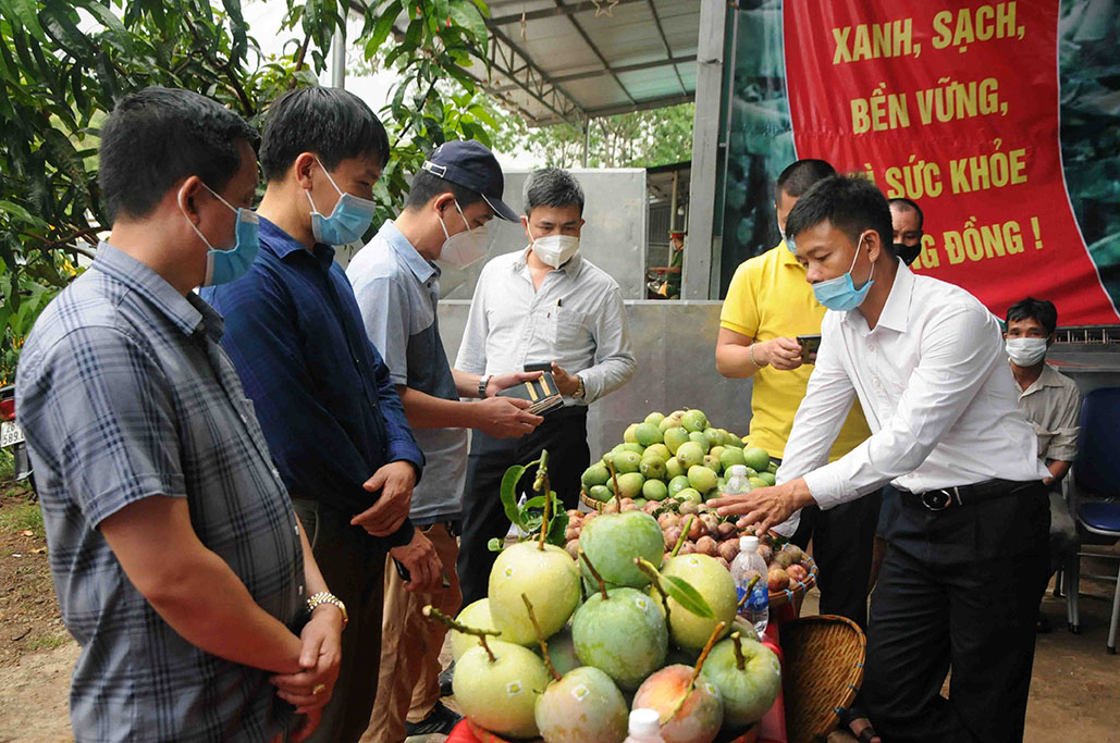 Các đại biểu tìm hiểu sản phẩm nông sản của huyện Yên Châu, tỉnh Sơn La.
