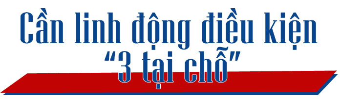 Bảo vệ, mở rộng ‘vùng xanh’ sản xuất ảnh 11