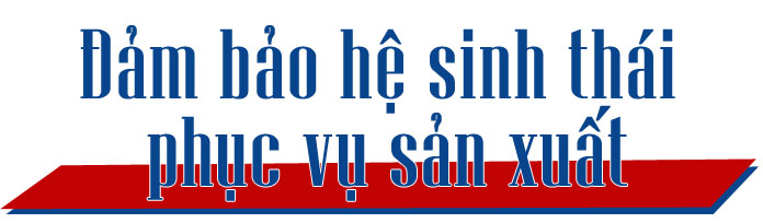 Bảo vệ, mở rộng ‘vùng xanh’ sản xuất ảnh 16
