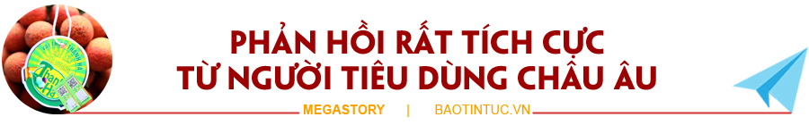 Vải thiều và hành trình 'vượt bão' của nông sản Việt ảnh 1