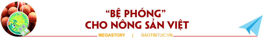 Vải thiều và hành trình 'vượt bão' của nông sản Việt ảnh 12