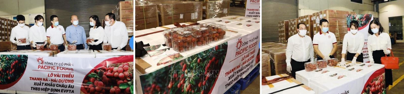 Đại diện cơ quan chức năng và đơn vị xuất khẩu với lô hàng xuất khẩu vải thiều đầu tiên sang thị trường châu Âu tại sân bay Nội Bài.