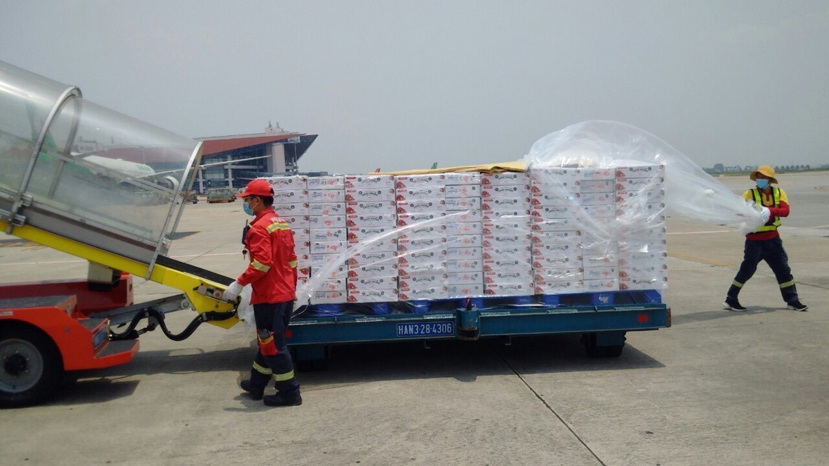 Vận chuyển vải thiều lên máy bay của Vietjet.