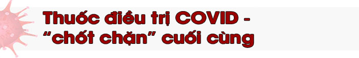 200 triệu ca COVID-19 - ‘Sóng thần’ Delta càn quét thế giới ảnh 21