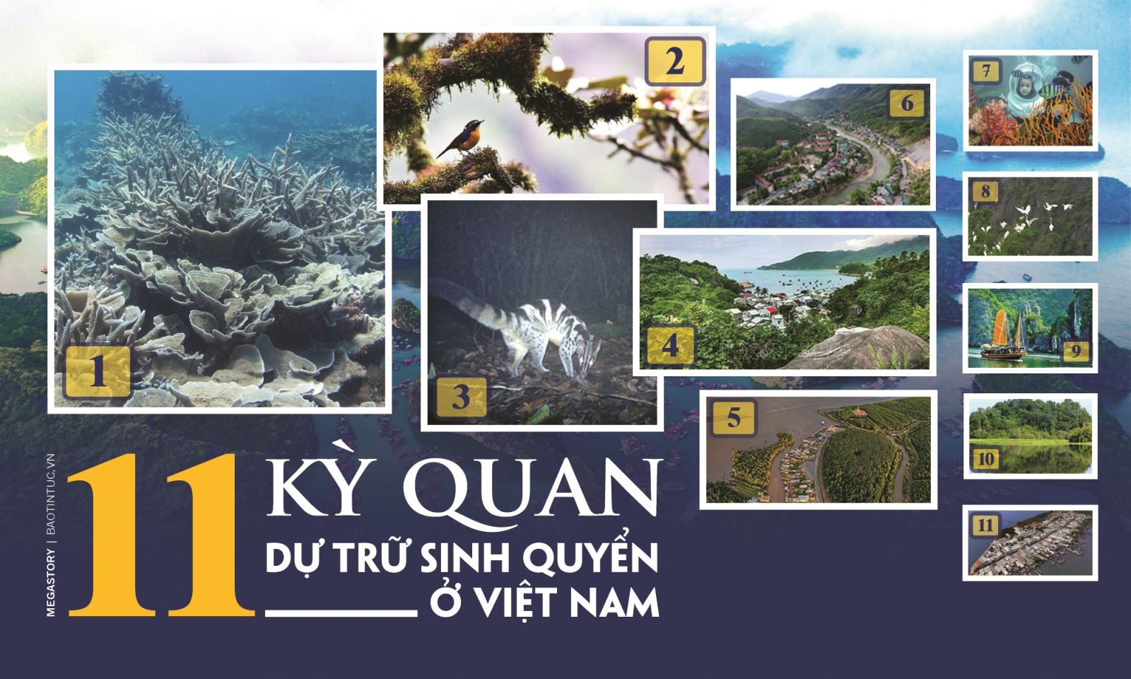 11 'kỳ quan' dự trữ sinh quyển ở Việt Nam