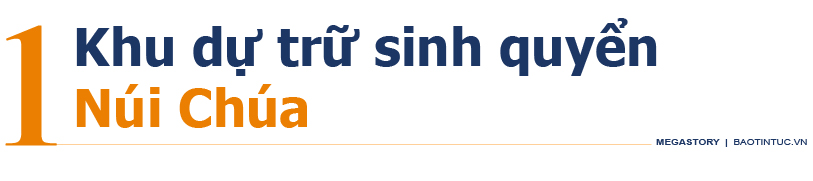 11 'kỳ quan' dự trữ sinh quyển ở Việt Nam ảnh 3