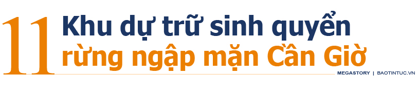 11 'kỳ quan' dự trữ sinh quyển ở Việt Nam ảnh 24