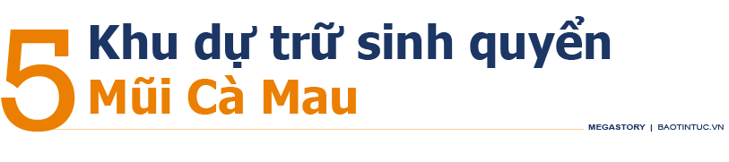 11 'kỳ quan' dự trữ sinh quyển ở Việt Nam ảnh 11