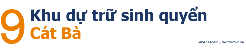 11 'kỳ quan' dự trữ sinh quyển ở Việt Nam ảnh 19
