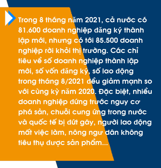 Giúp doanh nghiệp đón đà phục hồi kinh tế ảnh 4