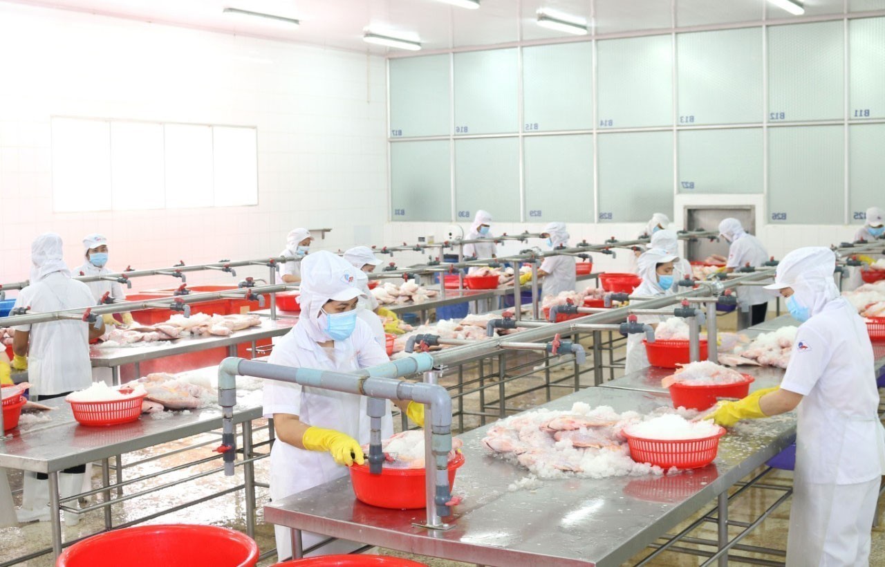 Thực hiện giãn cách trong khu vực chế biến thủy sản của công ty APT.