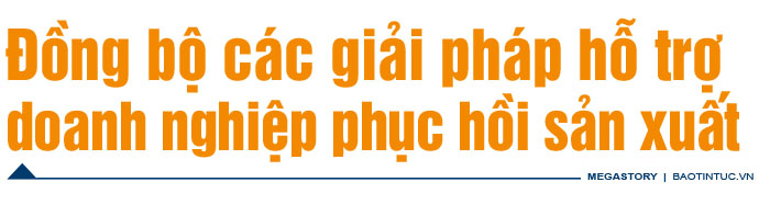 Giúp doanh nghiệp đón đà phục hồi kinh tế ảnh 14