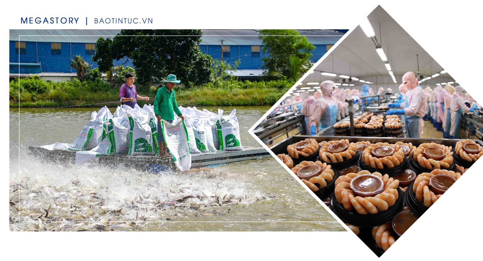 Chăn nuôi và chế biến thủy sản đang thay đổi nhằm “thích ứng an toàn, linh hoạt, kiểm soát hiệu quả dịch COVID-19”.