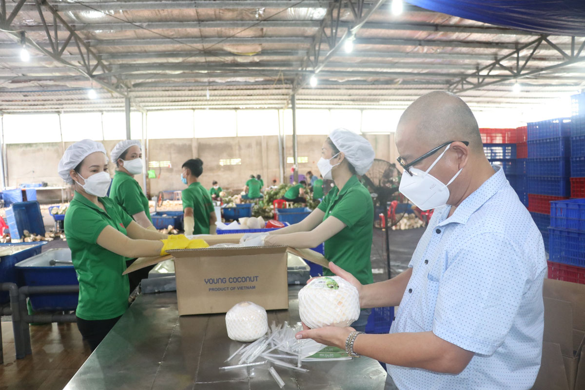 Qua hơn 2 tháng thực hiện giãn cách xã hội, nhiều doanh nghiệp trên địa bàn tỉnh Bến Tre đã phục hồi sản xuất trở lại.