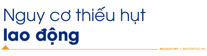 Kết nối cung - cầu nhân lực để khôi phục sản xuất ảnh 1