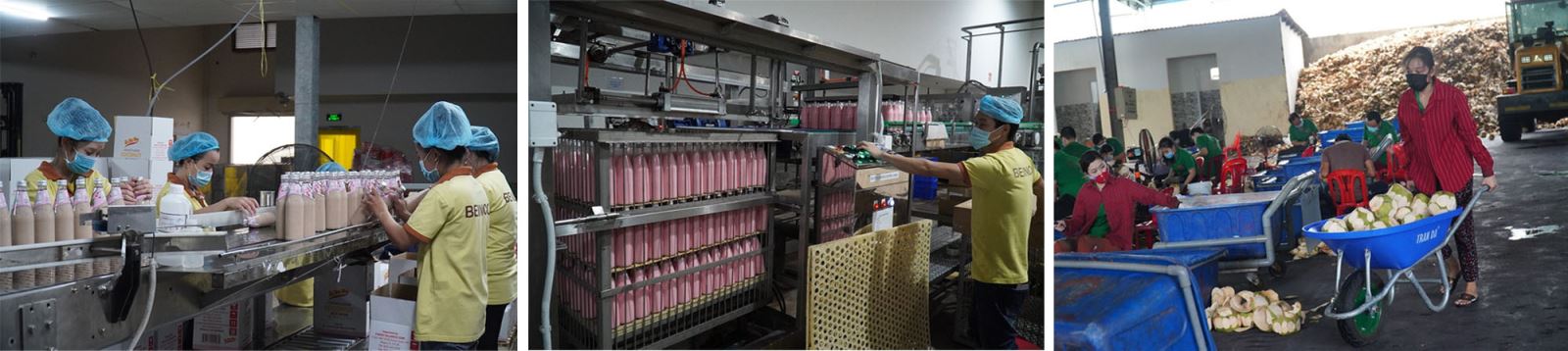 Hoạt động sản xuất, kinh doanh của các doanh nghiệp tại Bến Tre từng bước khôi phục.