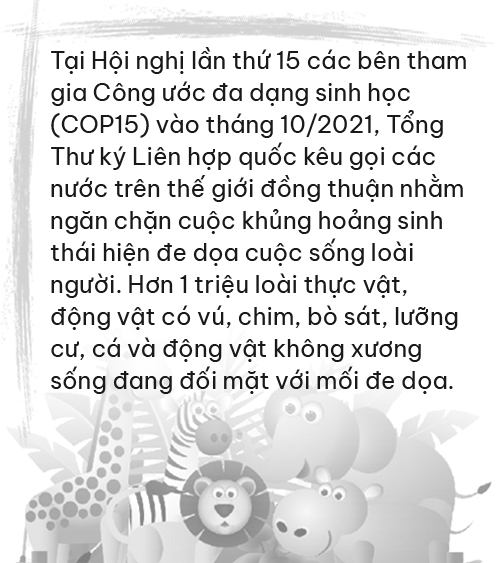 Động vật hoang dã bên bờ vực tuyệt chủng ảnh 15