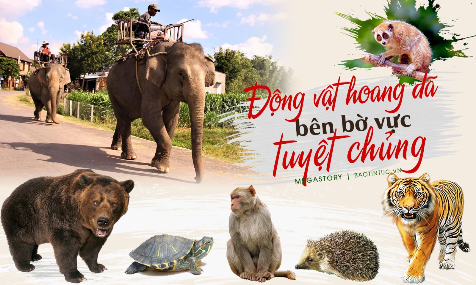 Động vật hoang dã bên bờ vực tuyệt chủng
