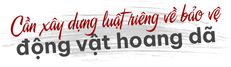 Động vật hoang dã bên bờ vực tuyệt chủng ảnh 12
